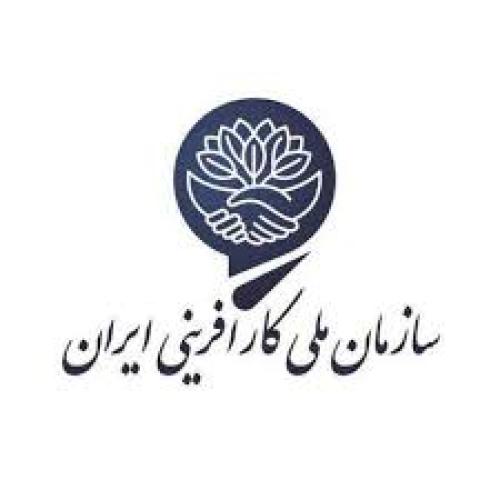 کارافرینی کارافرینی