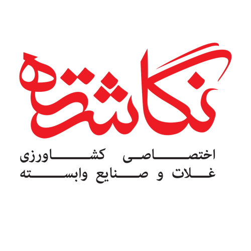 نشریه نگاشته